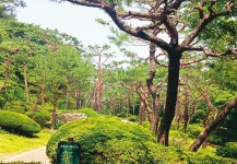 서울 숲 중 수종 가장 다양…“풍성함·세련미 함께 갖춰”