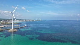 제주 바당처럼, 반짝임을 머금고 풍덩