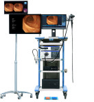 내시경 동영상 보며 위·대장암 징후 잡아내는 ‘AI 족집게’ [건강한겨레]