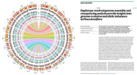 세계 첫 ‘소나무 표준 유전체’ 완성…10년간 정이품송 연구