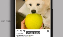 “잘못 딱 집으시면 사과 드린다”…윤, 운명은 어디로 [논썰]