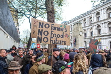 영국 농민들 ‘농장 상속세’ 반대 시위…“농민 없인 식량·미래 없다”