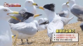 1200번의 ‘동물 이웃’ 사연…“개별 동물의 삶 전하고 싶었어”