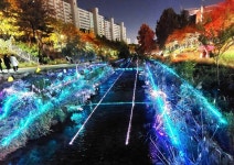 작은 지역행사가 5년 만에 대형 미술제가 된 비결 [왜냐면]