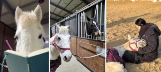 “달리지 못하는 말도 살 권리가 있다”…‘공주 폐마 목장’ 그 후