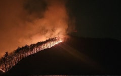 의성 산불, 영덕 해안까지 번져…강풍에 불길 확산 속도 빨라