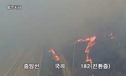 의성 산불, 영덕 해안까지 번져…강풍에 불길 확산 속도 빨라