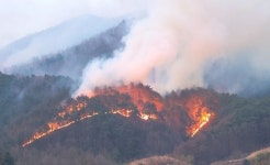 산청 산불, 지리산국립공원 200m 앞까지 접근
