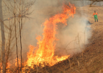 산불 지리산까지…사망 26명 등 사상자 52명 역대 최다