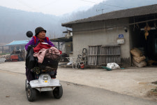 영남 산불 8일째…애타게 기다리는 진화 소식 [포토]
