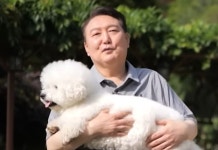 “김건희 면박에 강아지 안고 웃기만”…윤석열 캠프 대변인 증언