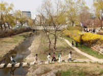 봄꽃만개 성곽길, 취향저격 행리단길, 여기가 청춘낙원