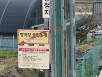 전남 무안 돼지농장 3곳서 구제역…백신 접종에도 ‘돌파 감염’ 비상