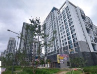 ‘2억 차익’ 세종 무순위 청약에 LH 사이트 마비…접수 연장