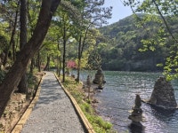 백조전파사 | 시간이 멈춘 듯, 느림의 미학 배우는 보성 해평저수지 둘레길