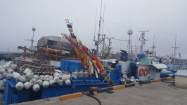 8명 탑승 어선 어진호, 서귀포 남서쪽 563㎞ 해상서 침몰 신고