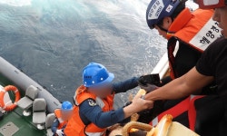 갈치 잡던 어진호는 왜 옥돔 잡으러 갔을까