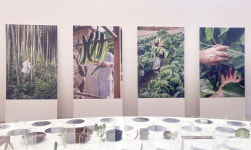 정관 스님부터 에드워드 리와 푸드 파이터 5인방까지…3가지 색 3가지 맛