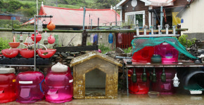 고양이와 꽃나무가 반겨주는 바다 위 비밀정원