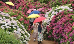 일요일 30도 안팎에 후텁지근…오후엔 전국에 비