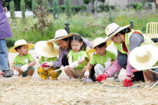 동대문구 전농동 ‘지식의 꽃밭’서 보리 수확 체험