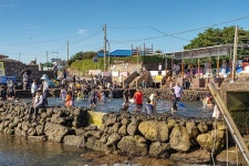 모험 추구형? 자연 선호형?…여름 제주 즐기는 7가지 방법