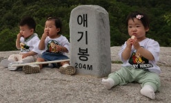 2살 베이비 산악회…204m 애기봉에서 오구오구 ‘떡뻥’ 도시락