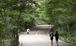 여기가 도심 한복판이라고?…매력적인 서울의 러닝 코스 4곳