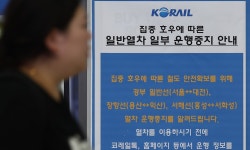 폭우에 일반열차 서울~대전, 천안~익산 운행 중지…여객선도 멈췄다