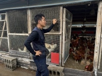 극한 폭염에…농장동물 폐사, 지난해보다 10배 더 늘었다