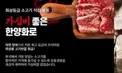 마동석이 광고하던 ‘한양화로, 2000억 투자사기 혐의 대표 구속