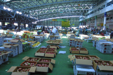 호남권 최대 광주 각화농산물도매시장 이전 본격화