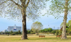 대통령실 “용산 어린이정원 전면 개선…용산공원 재추진”