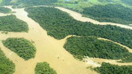 ‘1.5도 방어’ 마지막 기회…아마존서 기후 로드맵 이끌어낼까