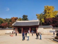 종묘 앞 ‘142m 빌딩’ 소식 들은 외국인 관광객들 “벌써 답답해요”