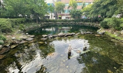 태백 삼수동 먹거리길 전국 첫 ‘자율상권구역’ 지정