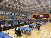 “소풍 온 듯”…탁구 디비전리그 즐기는 ‘핑퐁 사랑방’