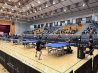 “소풍 온 듯”…탁구 디비전리그 즐기는 ‘핑퐁 사랑방’