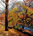 시골 마을의 늦가을 정취