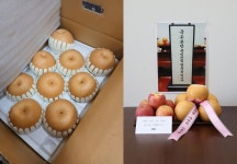 ‘사과’ 보내자 ‘배’로 대응한 국힘…제사상 올려 재반격한 혁신당