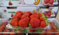 “수확한 딸기 5상자”…여름 수해농장 달려간 봉사자가 겨울에 받은 선물