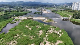[단독] 금강·영산강 보 허물면, 축구장 850개 자연하천 돌아온다