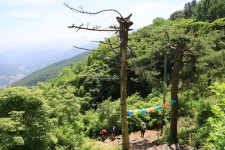 태자유통영암 | 지리산 일곱 암자를 돌며, 일곱 마음을 돌아보다