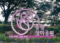 [서울&] 중랑천을 덮은 천만 송이 장미밭