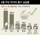 쇠고기 7.5%↑·달걀 10.3%↑…“애호박값 자고 나니 2배”