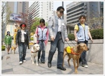 IT업계 `장애 없는 세상` 다양한 행사