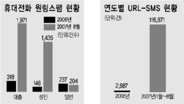 지능적 신종 휴대폰 스팸 `기승`