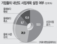 기업 절반 이상 내년 신규사업 포기