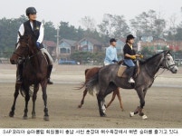 [마니아 & 동호회] SAP코리아 승마클럽