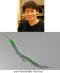 이승재 교수 변온동물 스스로 수명조절 규명